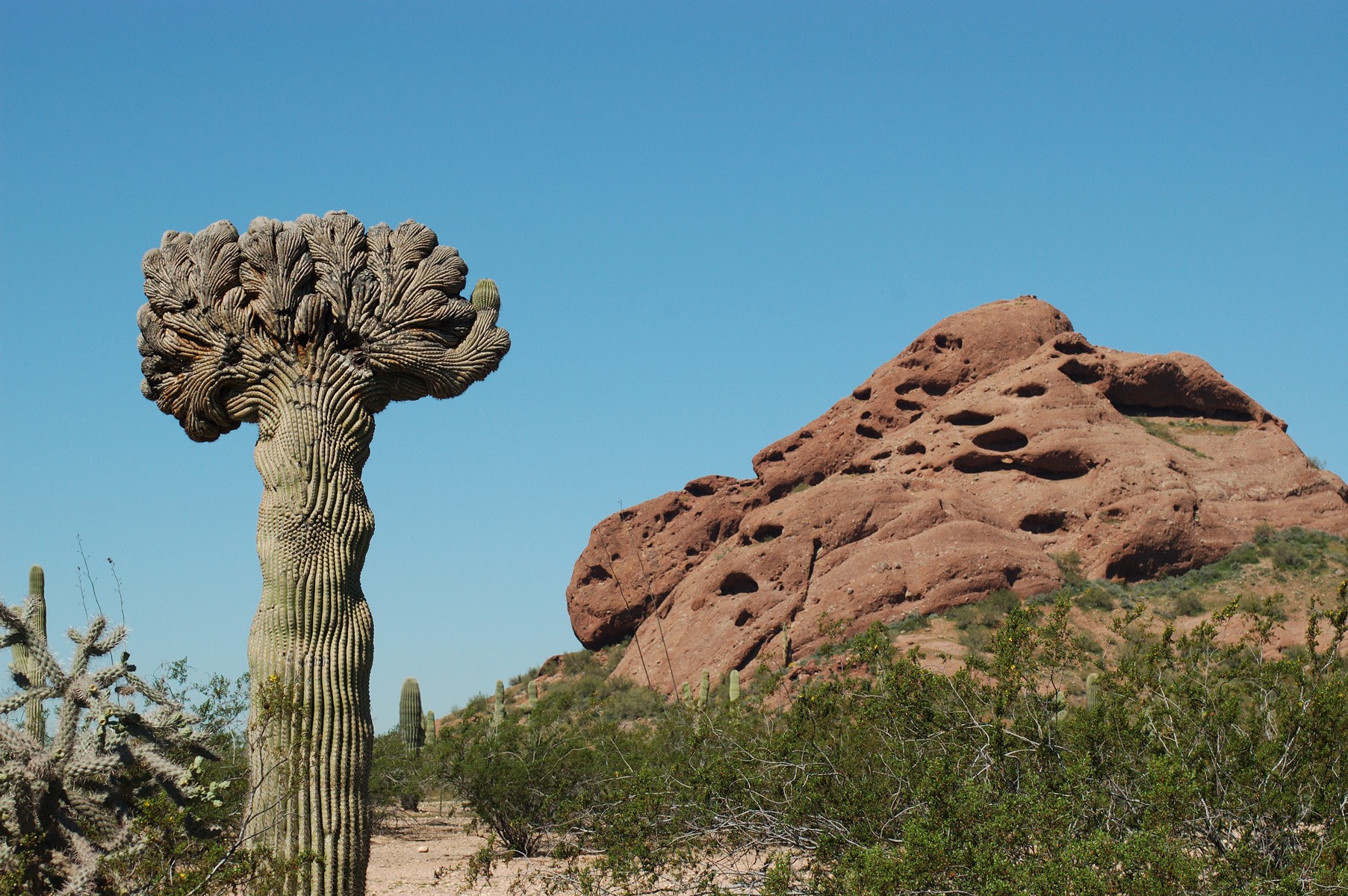 US Arizona Phoenix Papago Park