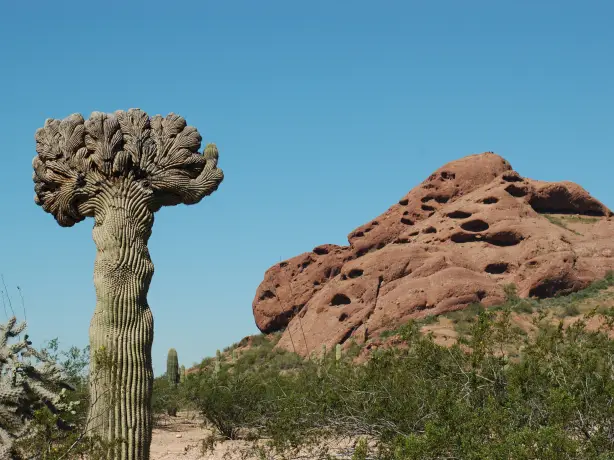 US Arizona Phoenix Papago Park