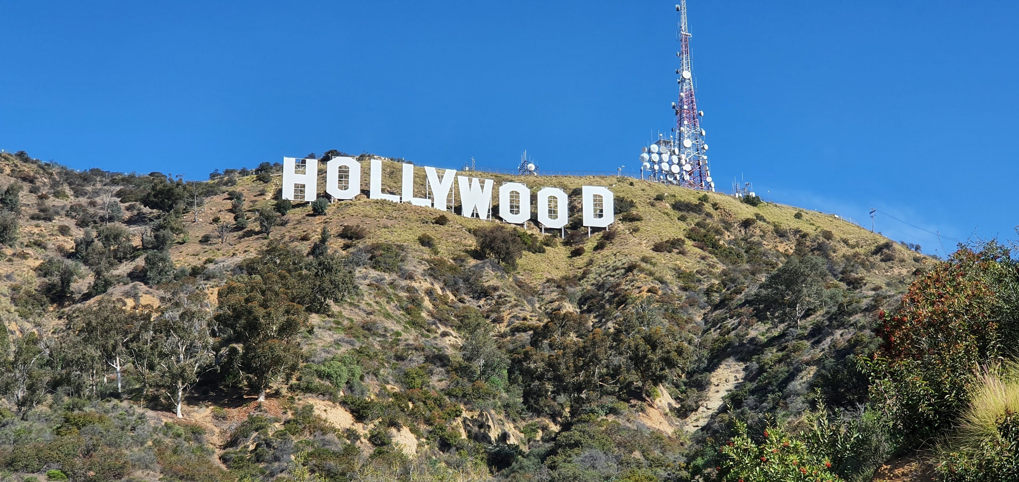 Los angeles dewi jones rq R Wi7pbm BQ unsplash