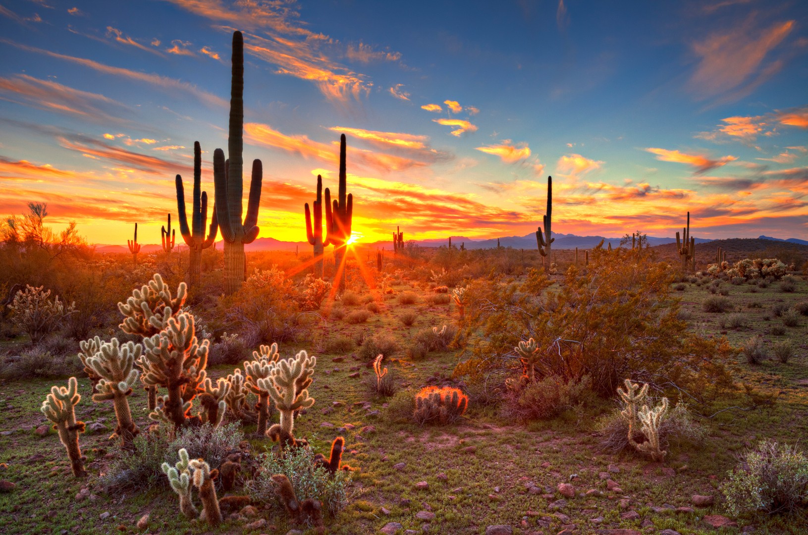 US phoenix az Desert Sunset