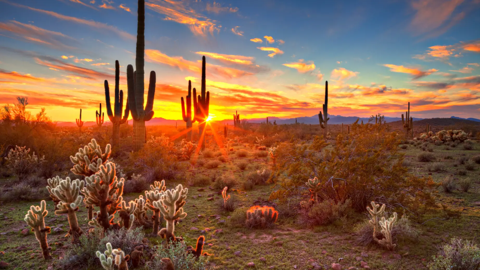 US phoenix az Desert Sunset