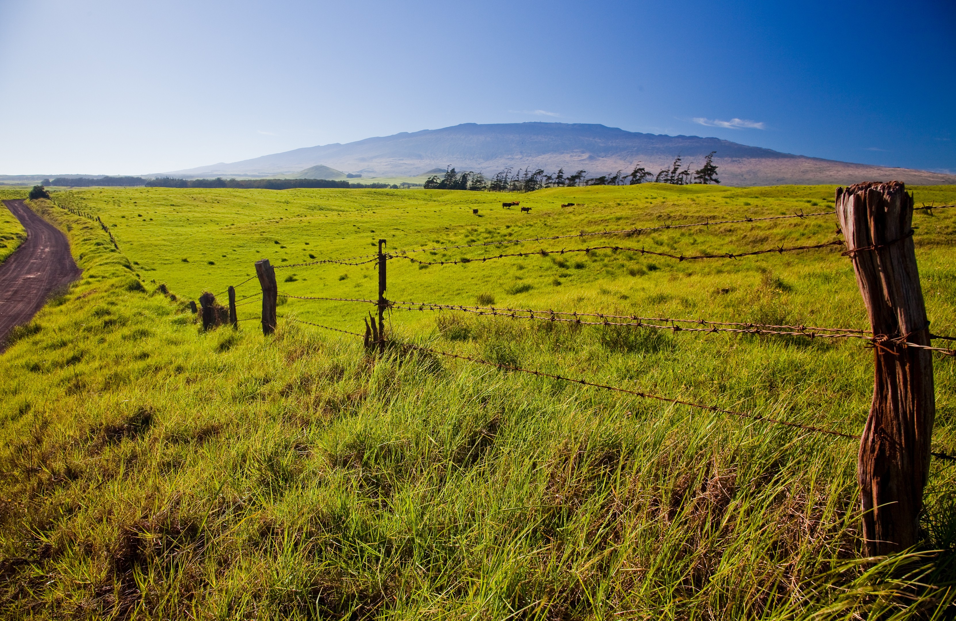 Usa hawaii waimea big island view