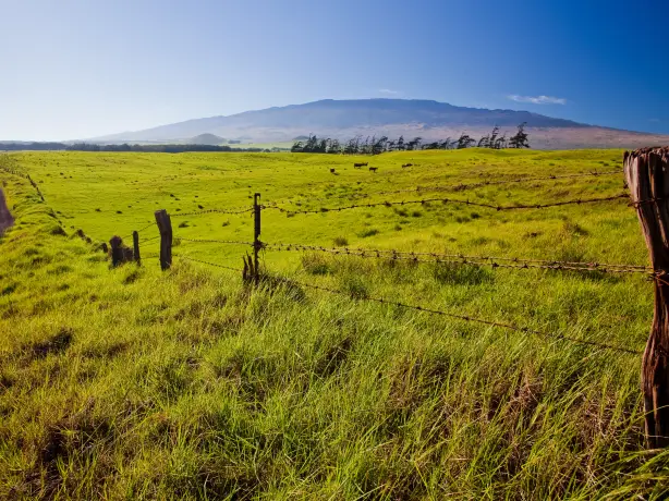Usa hawaii waimea big island view