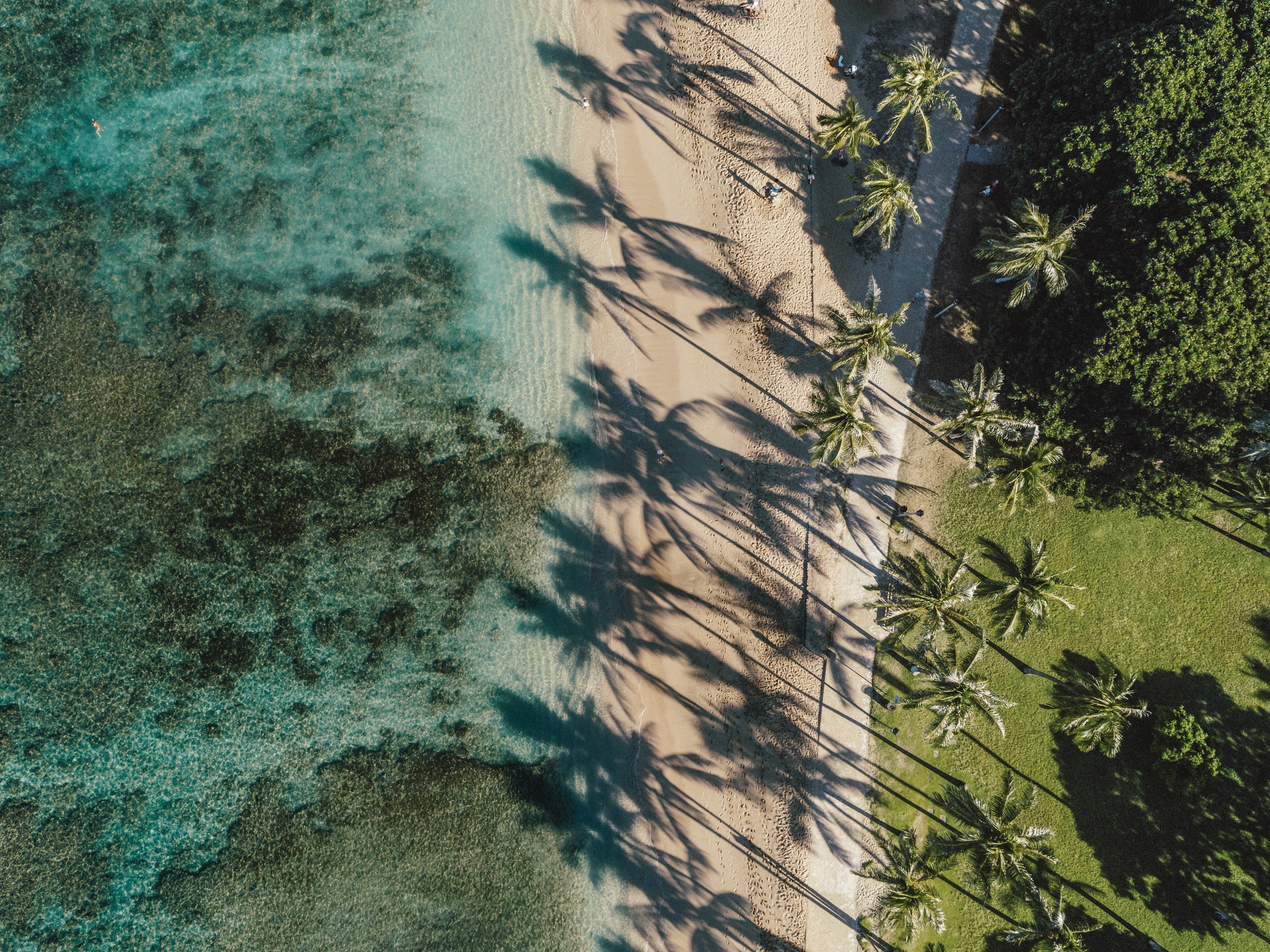 Usa hawaii aerial view of a south oahu shoreline