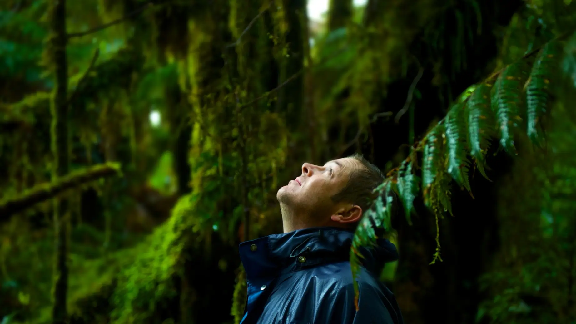 Andrew Mortan looking up, surrounded by trees