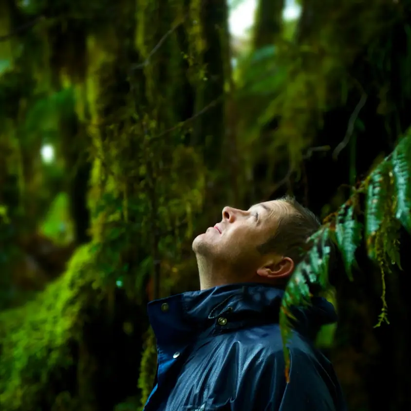 Andrew Mortan kijkt omhoog, omringd door bomen