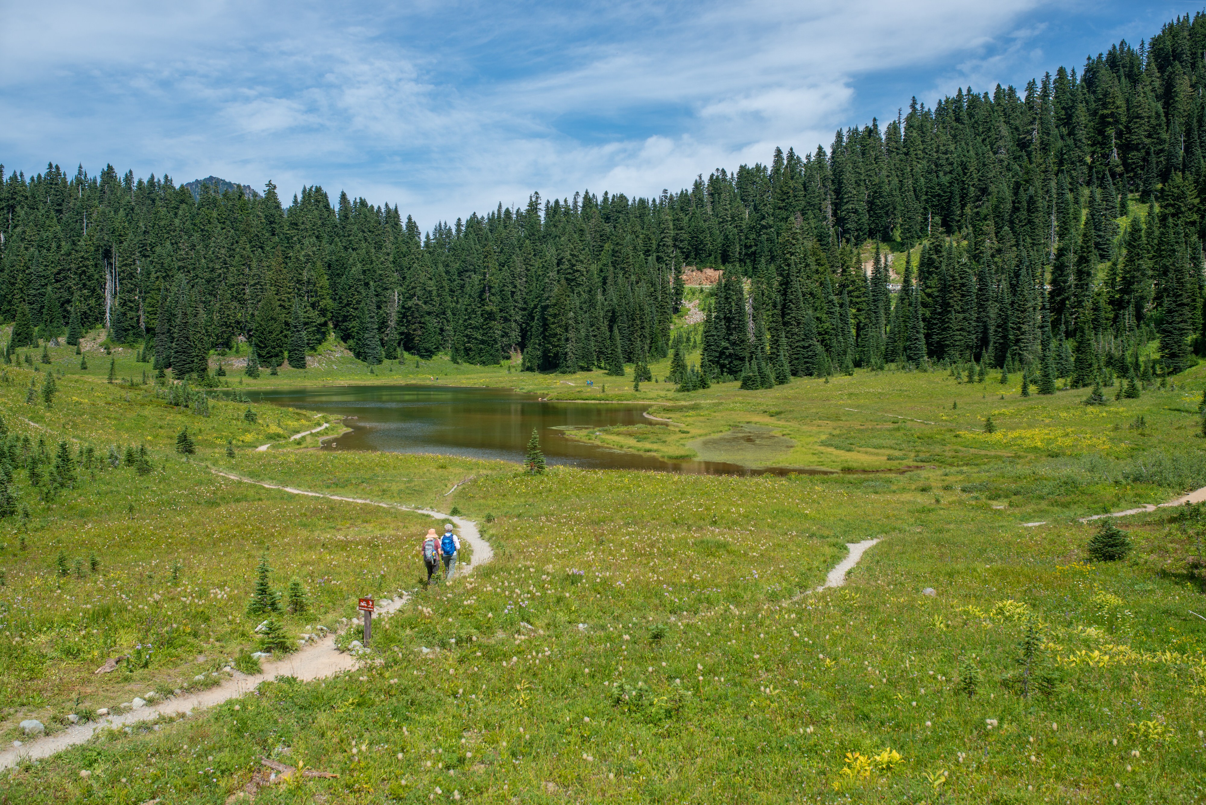 USA Washington State Mount Rainier Nationalpark Wandern