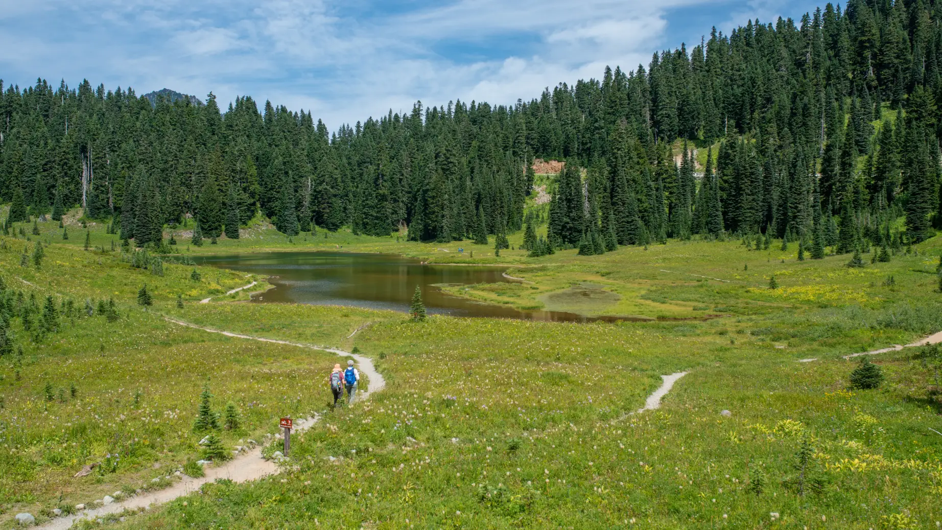 USA Washington State Mount Rainier Nationalpark Wandern