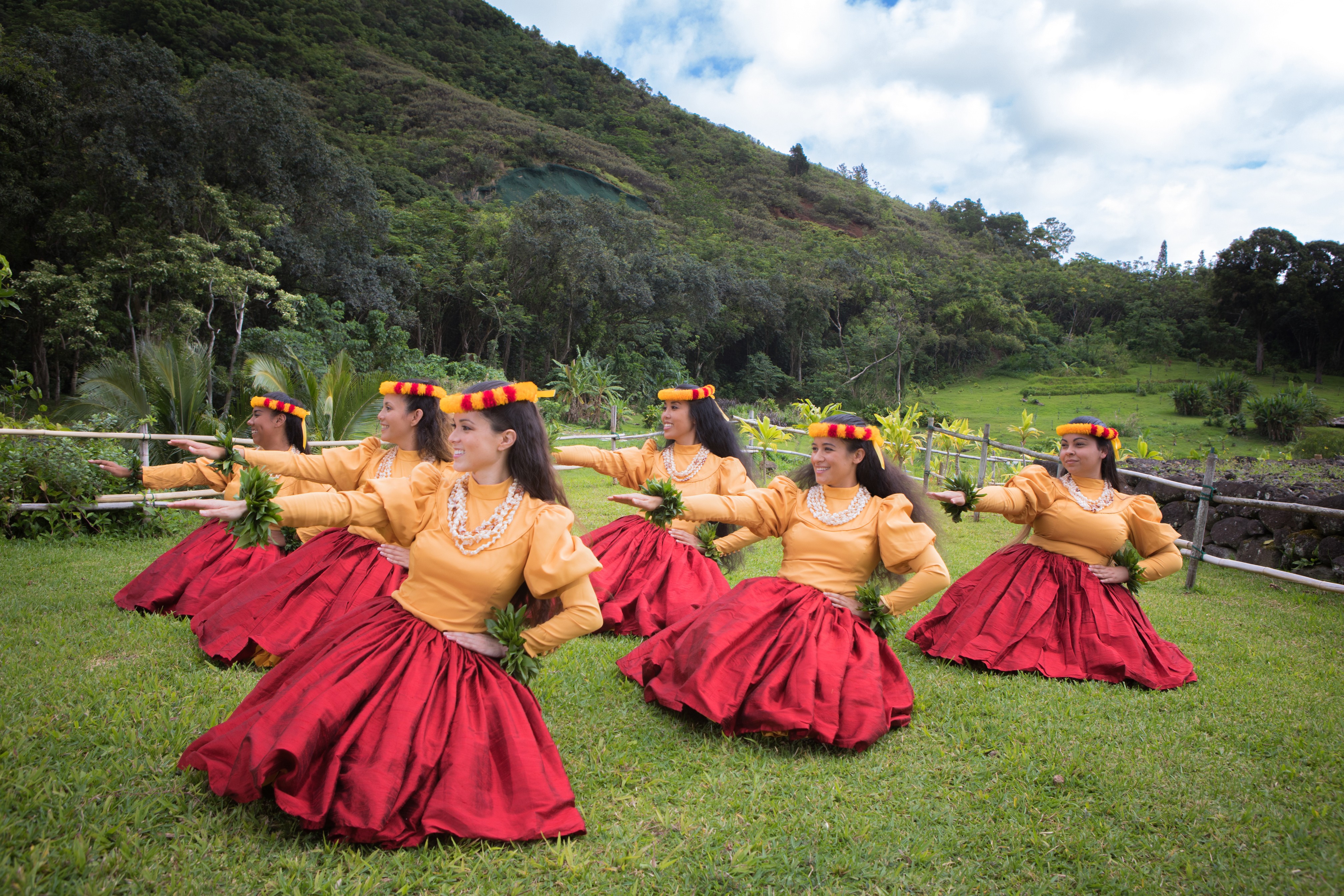 Usa hawaii hula dance culture