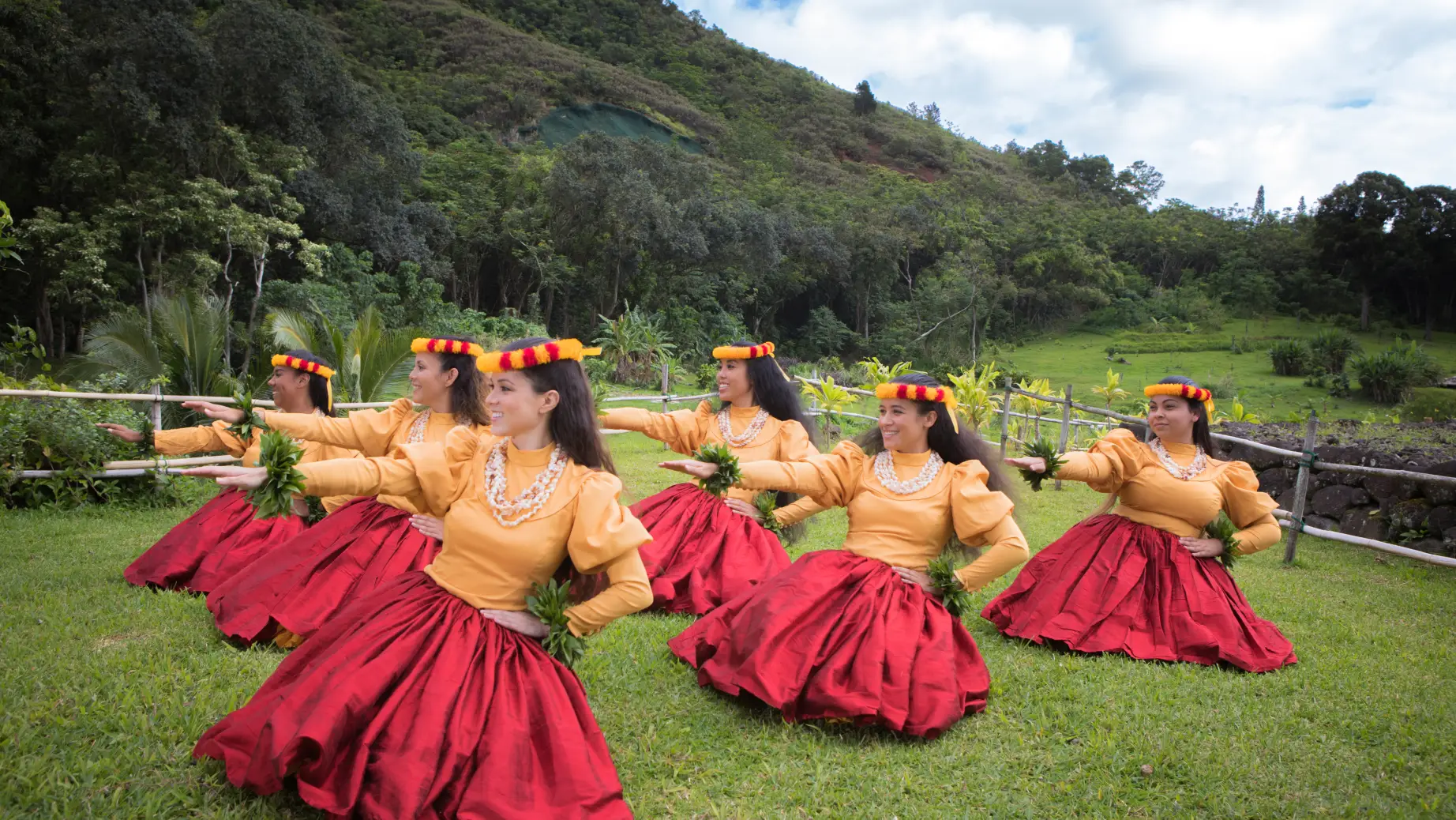 Usa hawaii hula dance culture