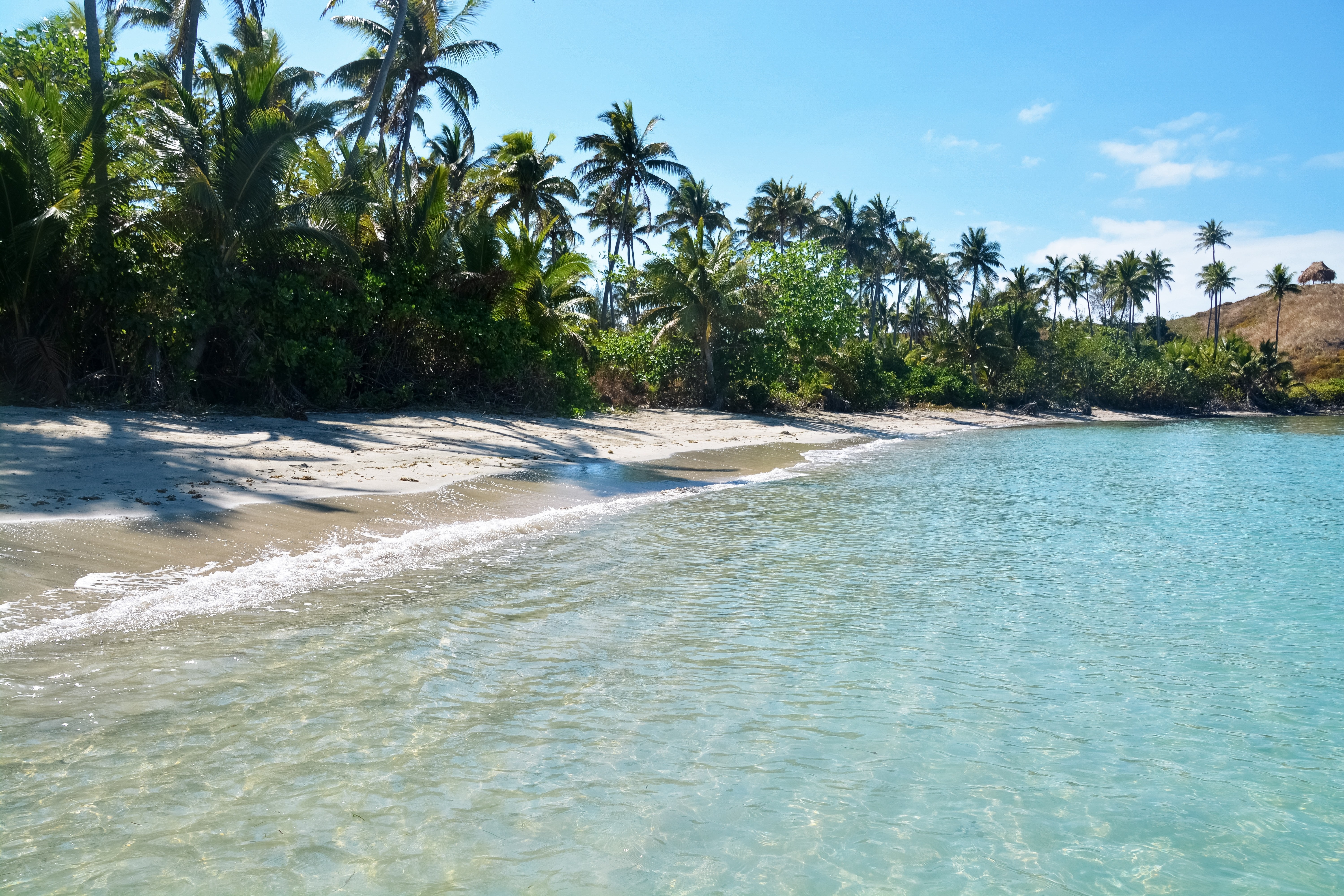 fiji beach with palm trees and turquoise water