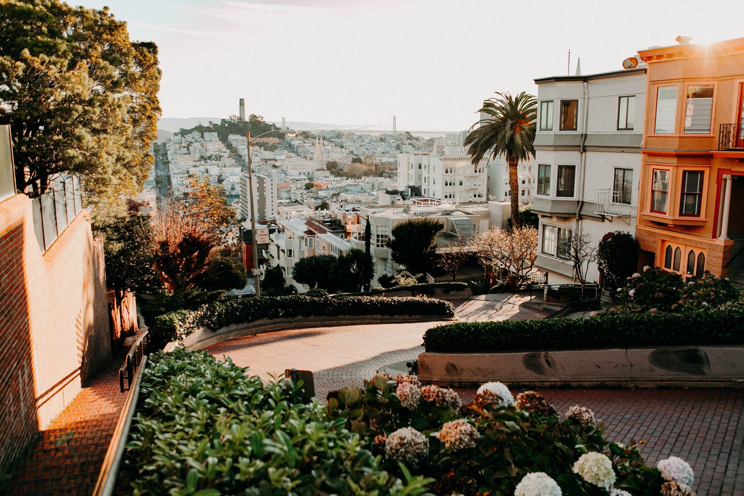 San Francisco CA Lombard Street c braden collum 1500px