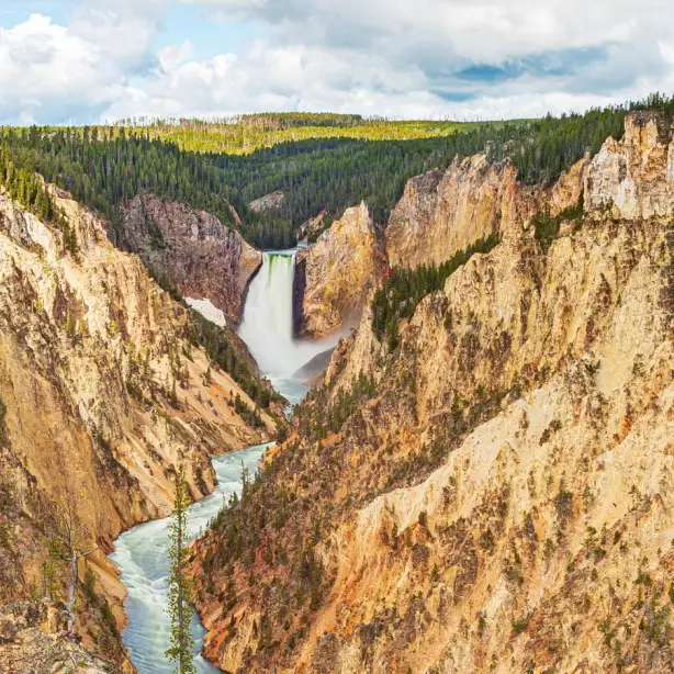 Rivier stroomt tussen enorme bruingele rotswanden in Yellowstone National Park, Wyoming