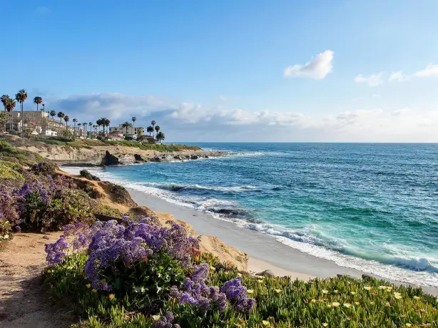 Küste von San Diego mit lila Blumen und Palmen