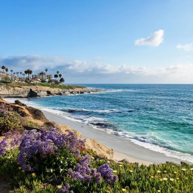 Küste von San Diego mit lila Blumen und Palmen