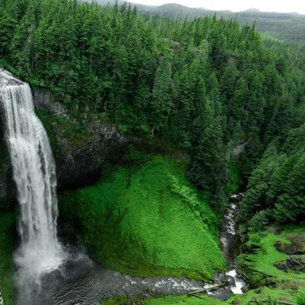 Een machtige waterval stort naar beneden tussen de groene bossen van Oregon