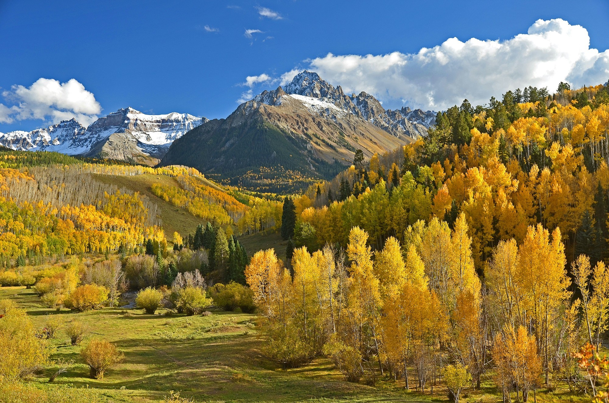 Herbstliche Laubbäume mit schneebedecktem Gebirge im Hintergrund