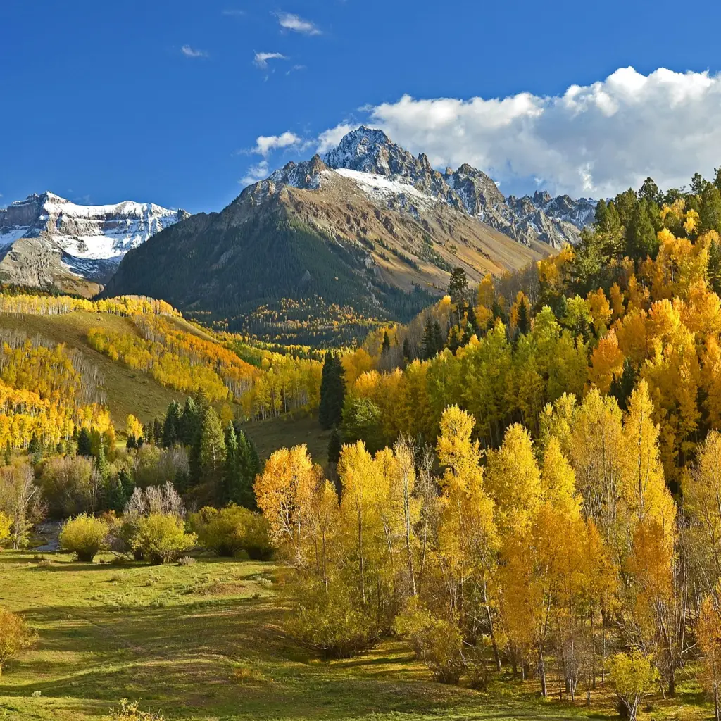 Herbstliche Laubbäume mit schneebedecktem Gebirge im Hintergrund