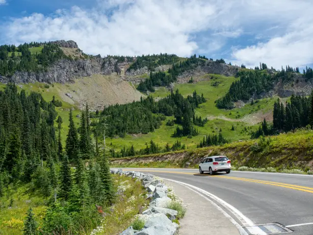 A car drives around a bend surrounded by green hills and trees in the USA