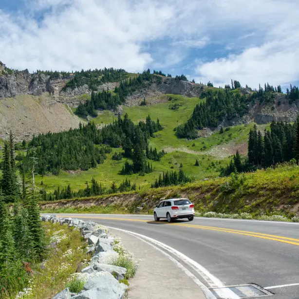 Ein Auto fährt um eine Kurve, umgeben von grünen Hügeln und Bäumen in den USA