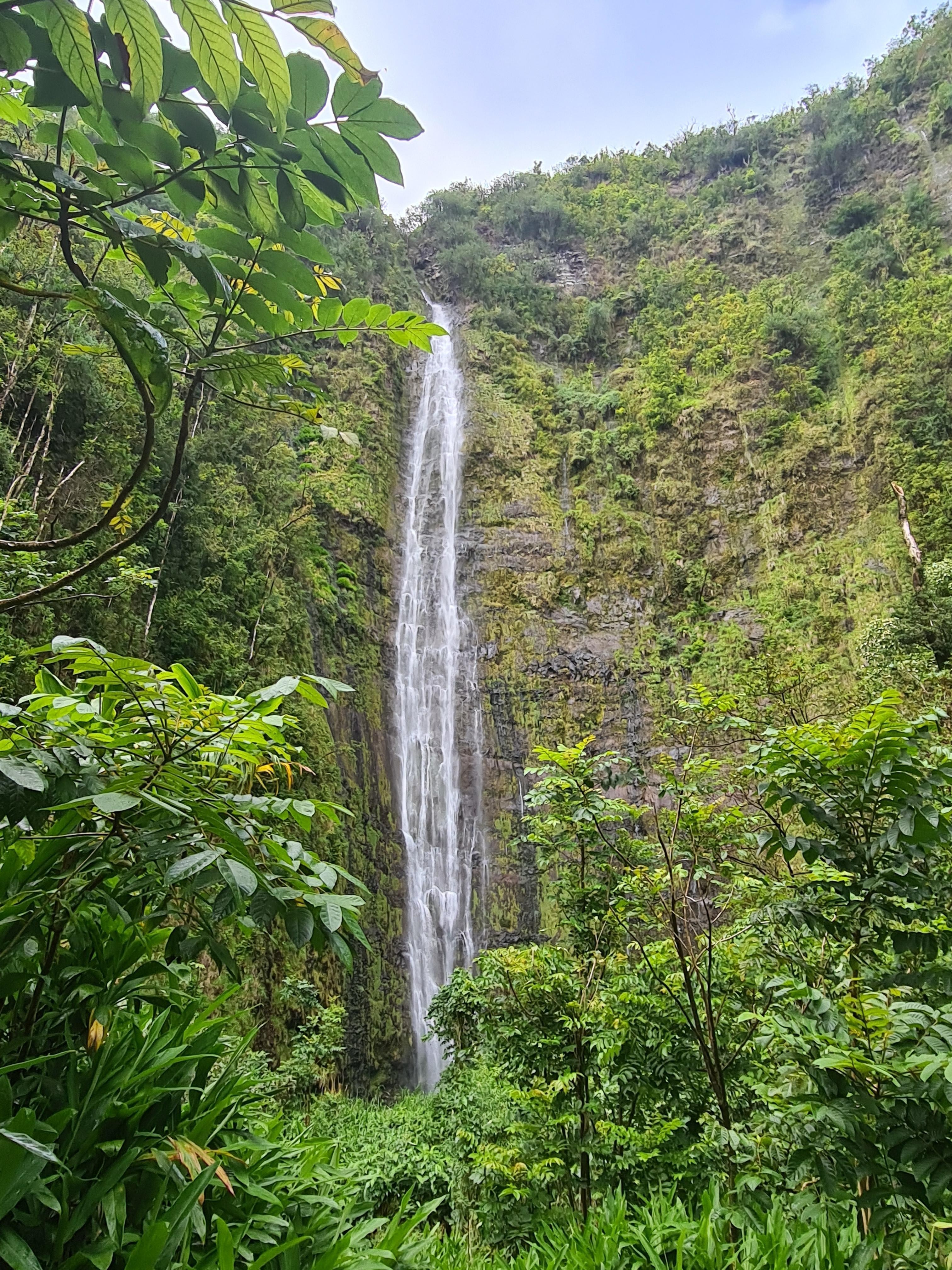 Hoher Wasserfall zwischen grünen Bäumen auf Hawaii