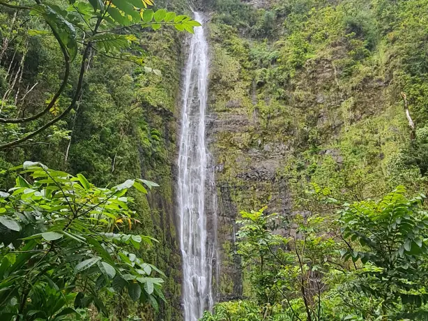 Hoher Wasserfall zwischen grünen Bäumen auf Hawaii