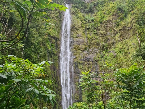 Hoher Wasserfall zwischen grünen Bäumen auf Hawaii
