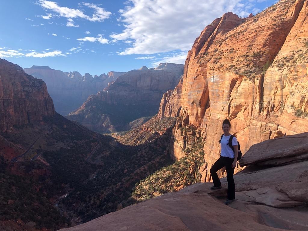 Judi zion np usa