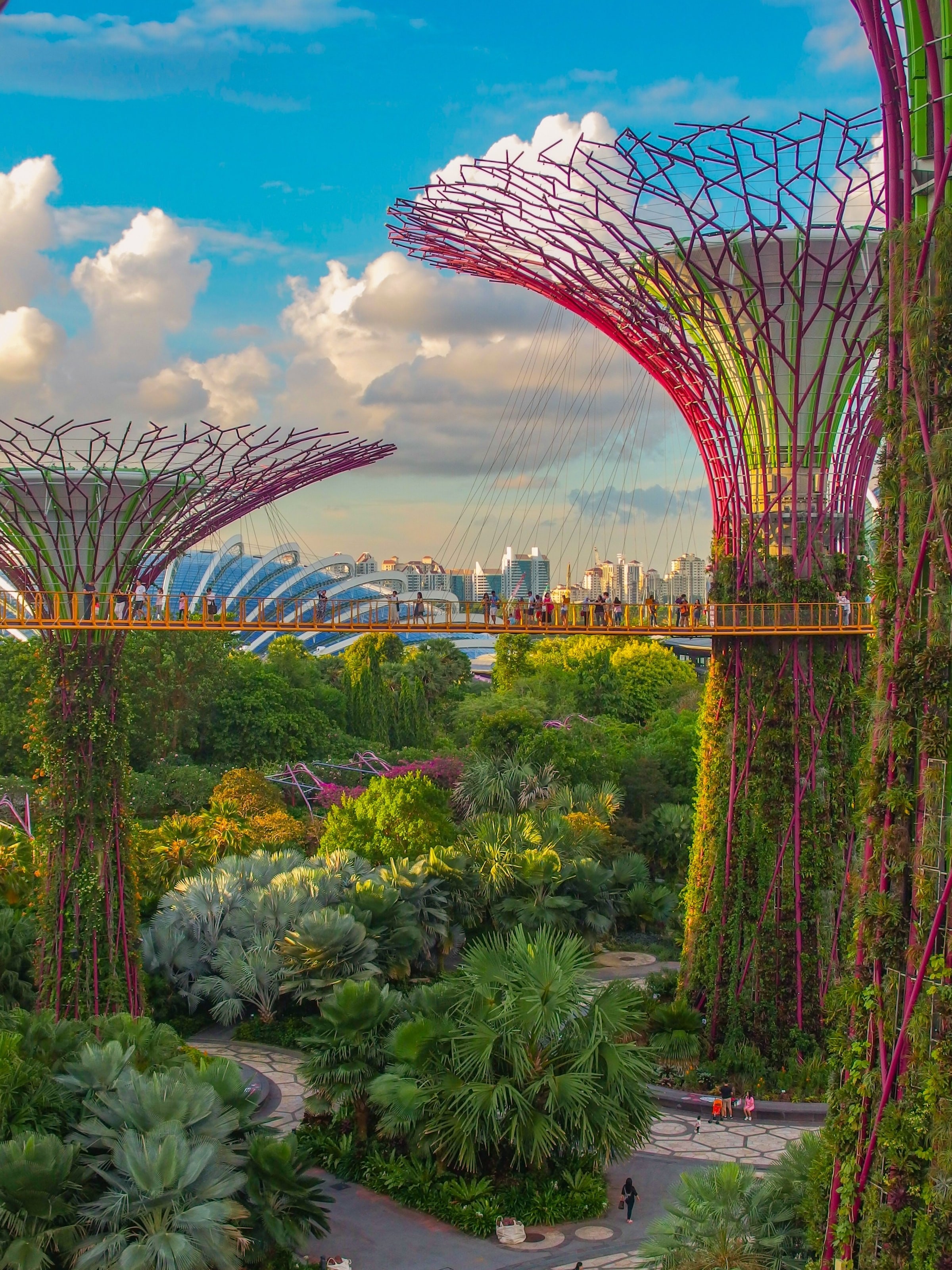 Baumstrukturen und Stadtansicht von Singapur