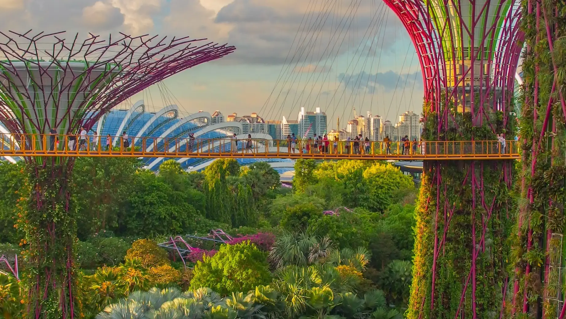 Singapore tree structures and city view