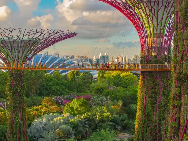 Baumstrukturen und Stadtansicht von Singapur