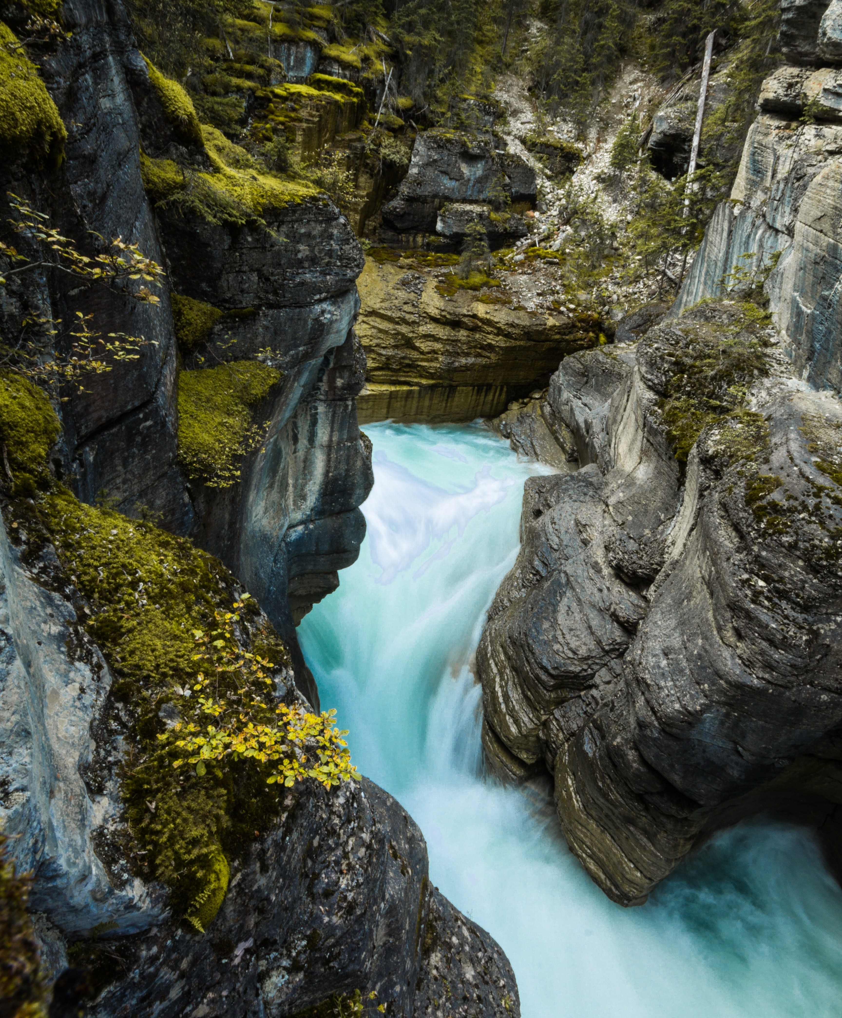The icefields parkway places canada