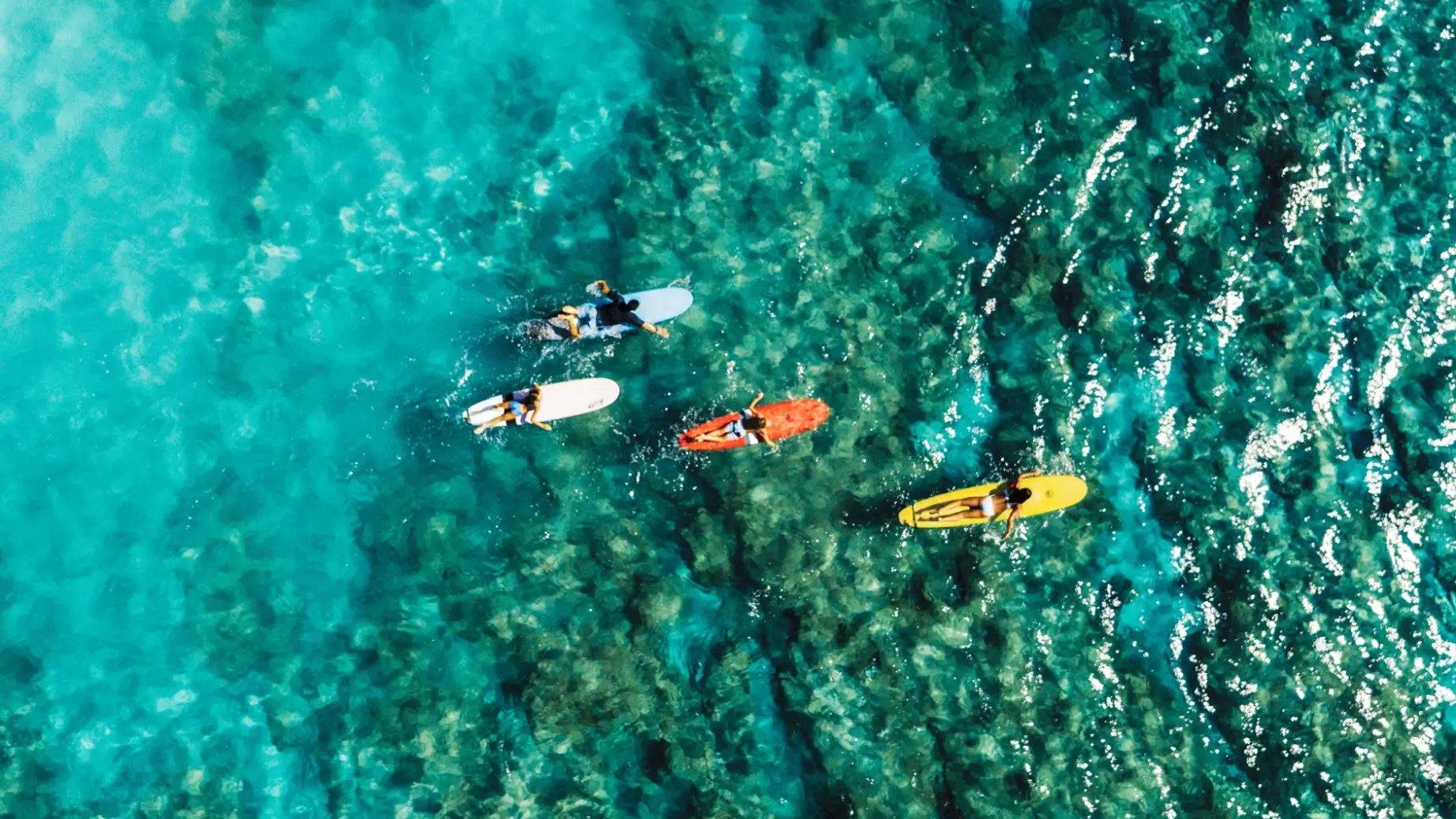 Four people surfing in turquoise seas off Waikiki Beach in Hawaii, USA