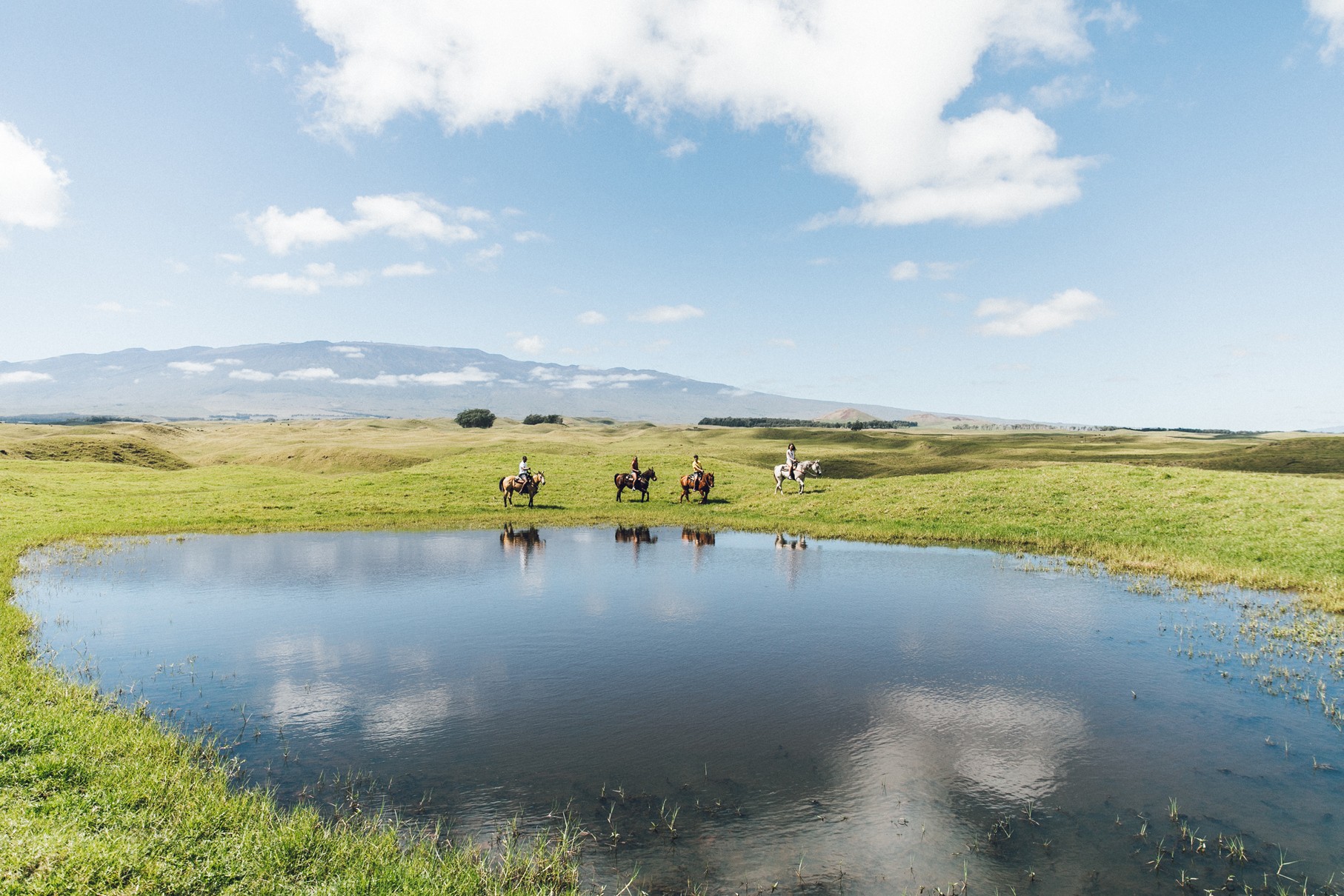 Usa hawaii waimea horseback riding credit hawaii tourism authority heather goodman
