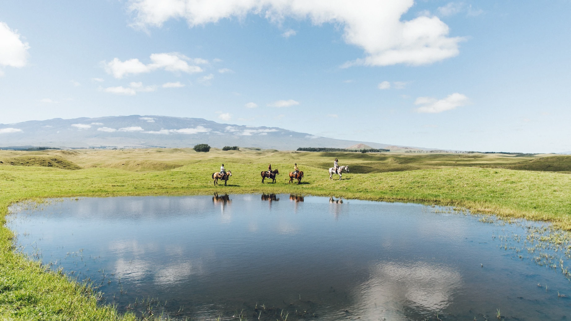 Usa hawaii waimea horseback riding credit hawaii tourism authority heather goodman