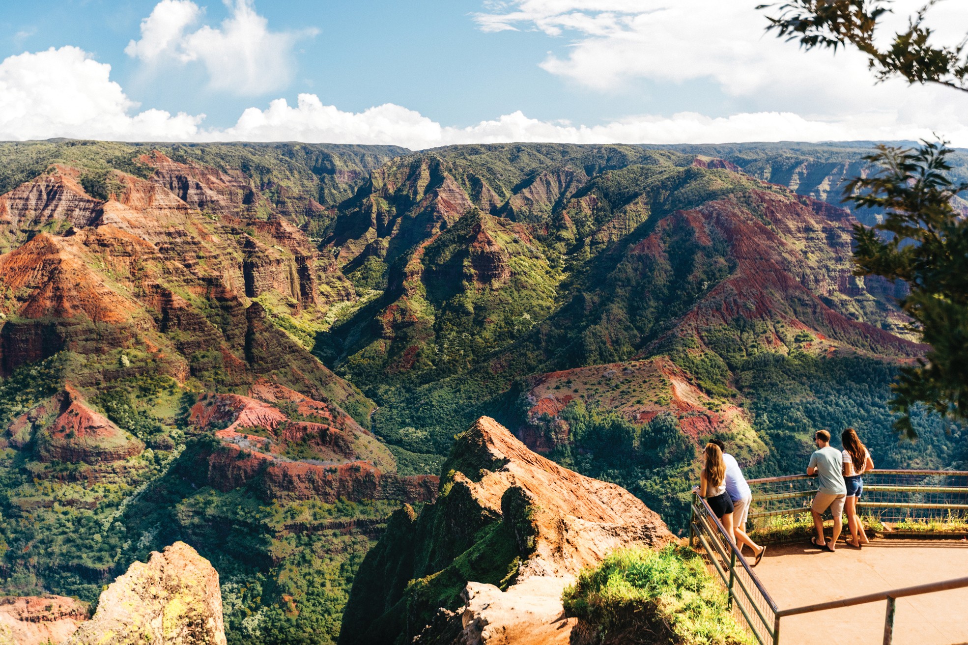 Usa hawaii kauai waimea canyon