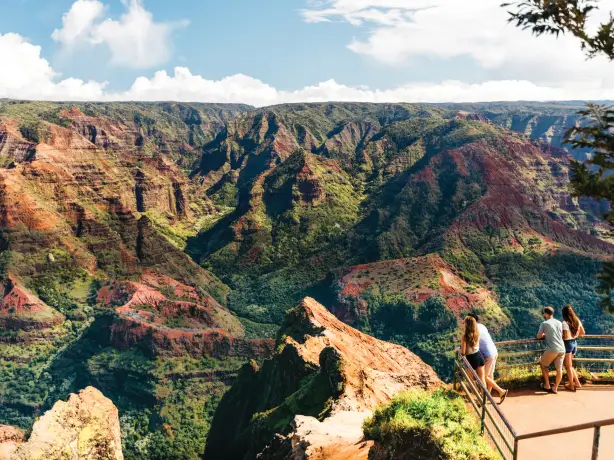 Usa hawaii kauai waimea canyon