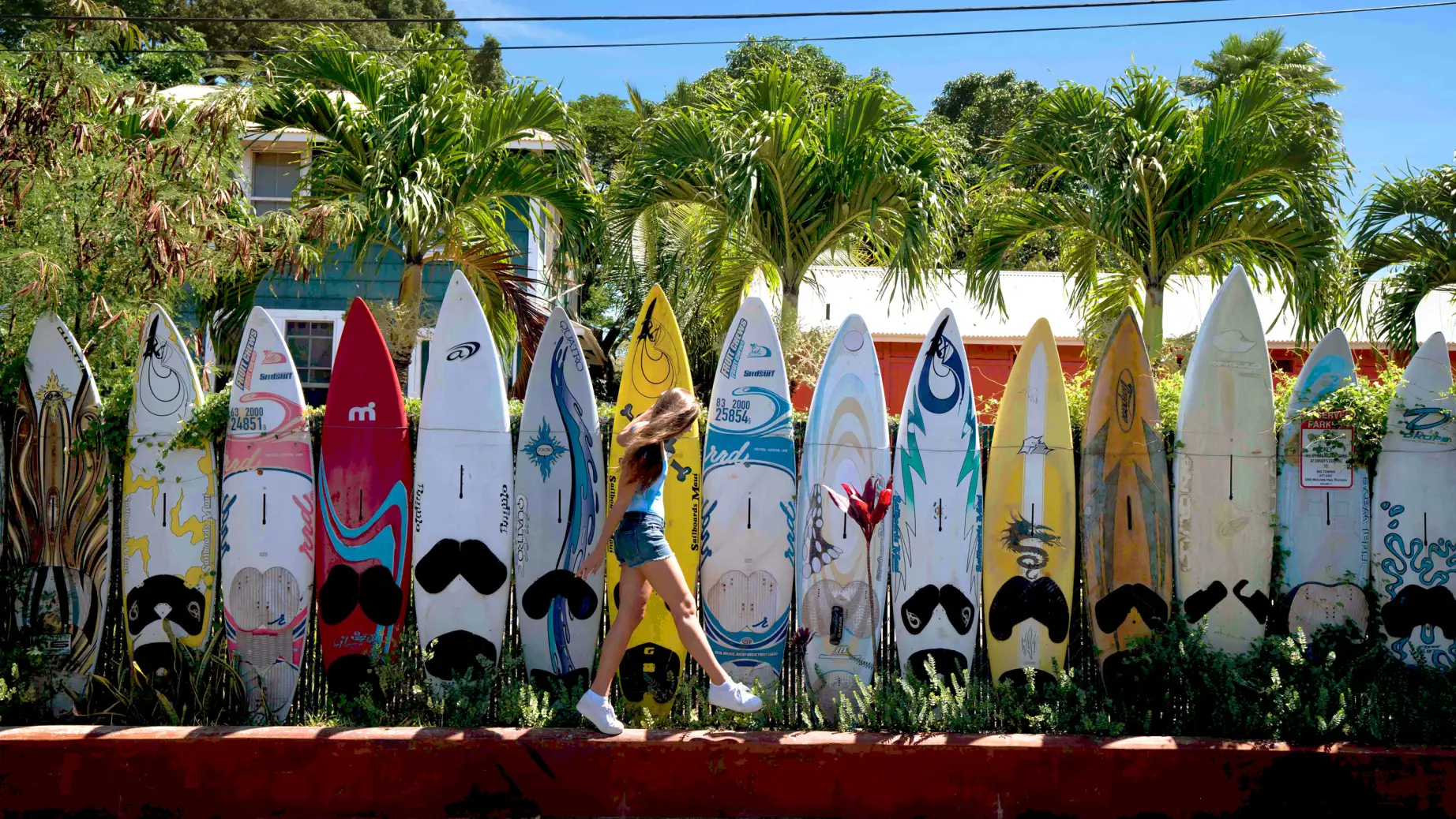 Usa hawaii maui surboards credit hawaii tourism authority blake bronstadjpg