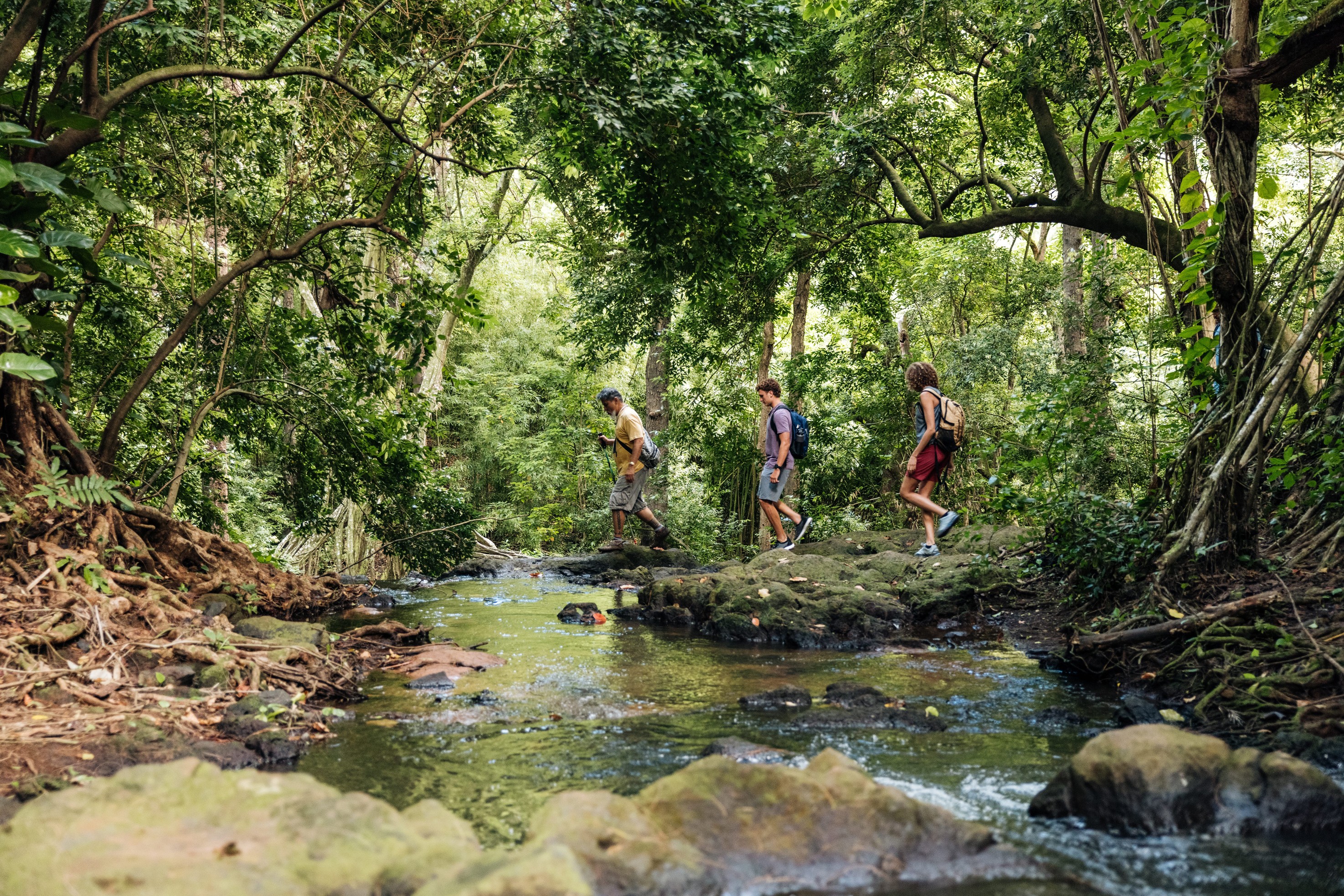Wanderer auf dem Oahu Trail auf Hawaii