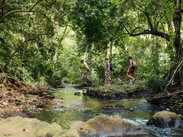 Wanderer auf dem Oahu Trail auf Hawaii