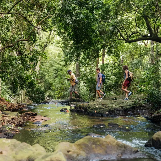 Wanderer auf dem Oahu Trail auf Hawaii