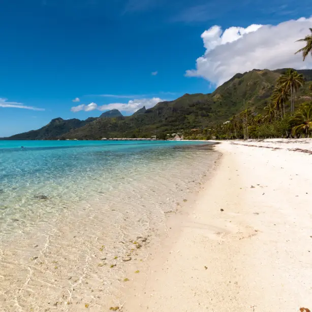 Pacifische eilanden tahiti temae strand