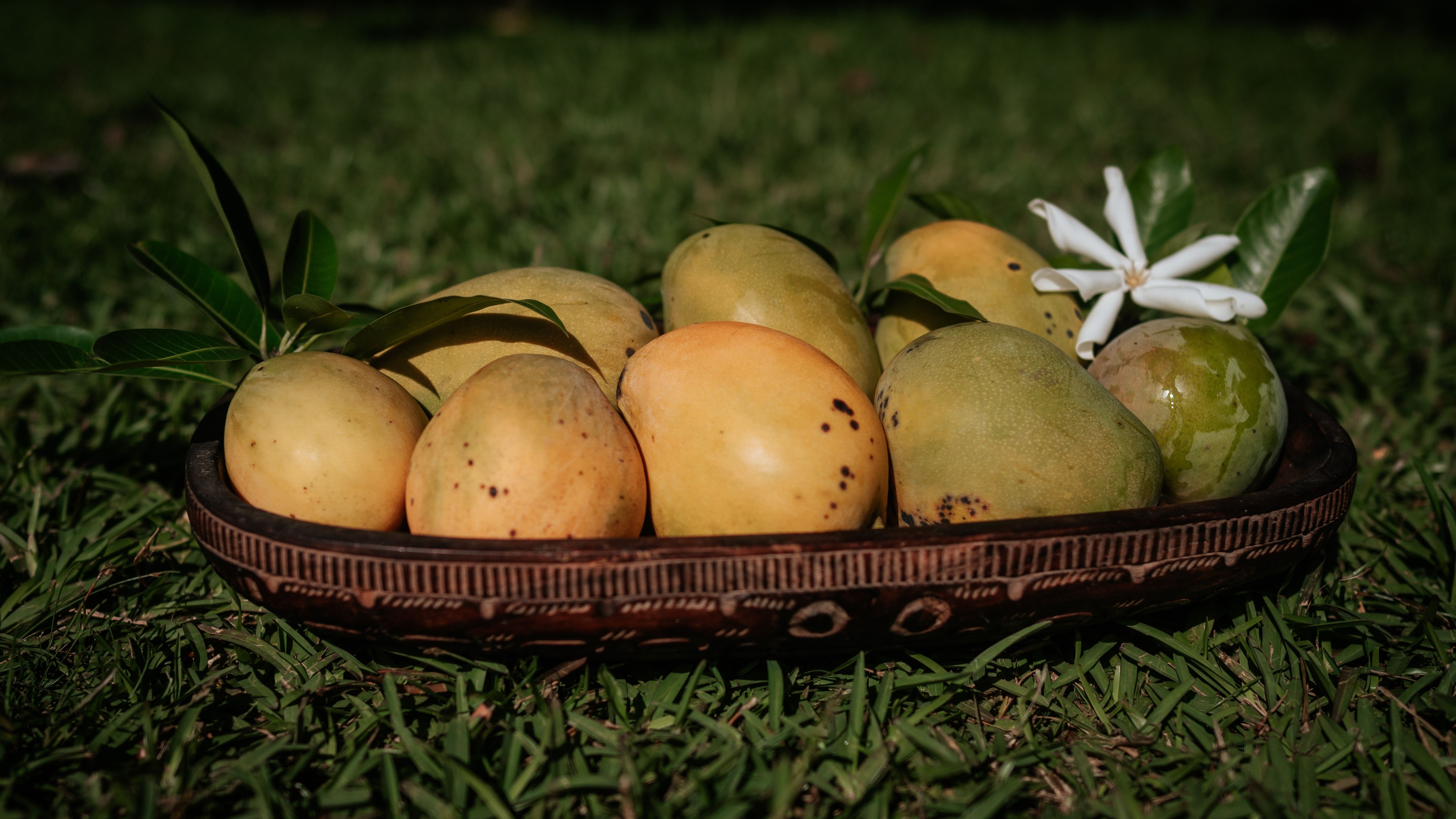 Stille eilanden Tahiti mango's in een kom op het gras