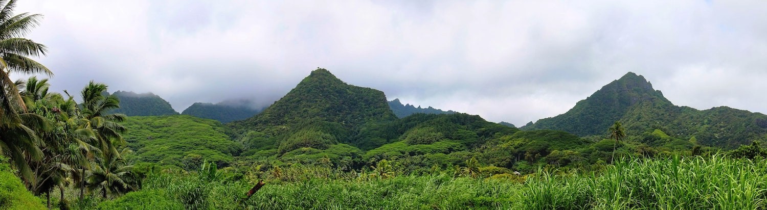 TE Cook Islands Rarotonga Regenwald