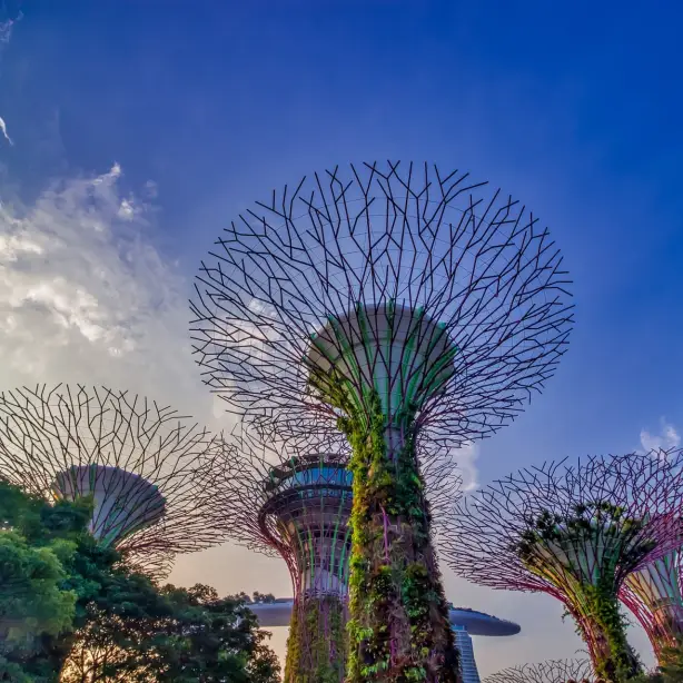 Kleurrijke plantenbeelden op de luchthaven van Singapore