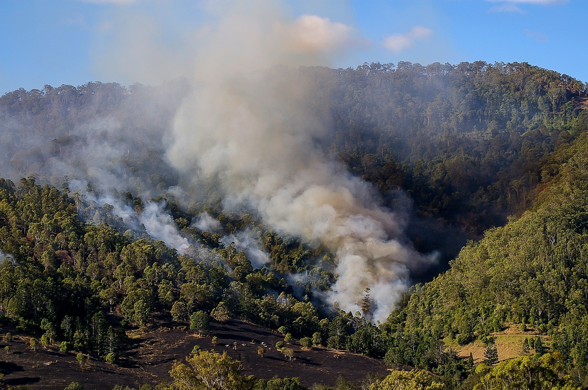 aus-smoke-busch-fire-hills.jpg