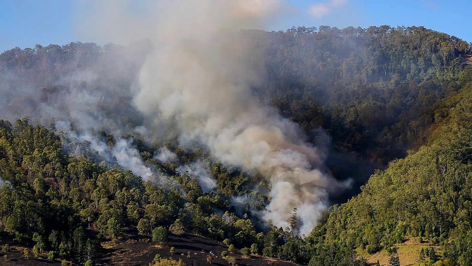 aus-smoke-busch-fire-hills.jpg