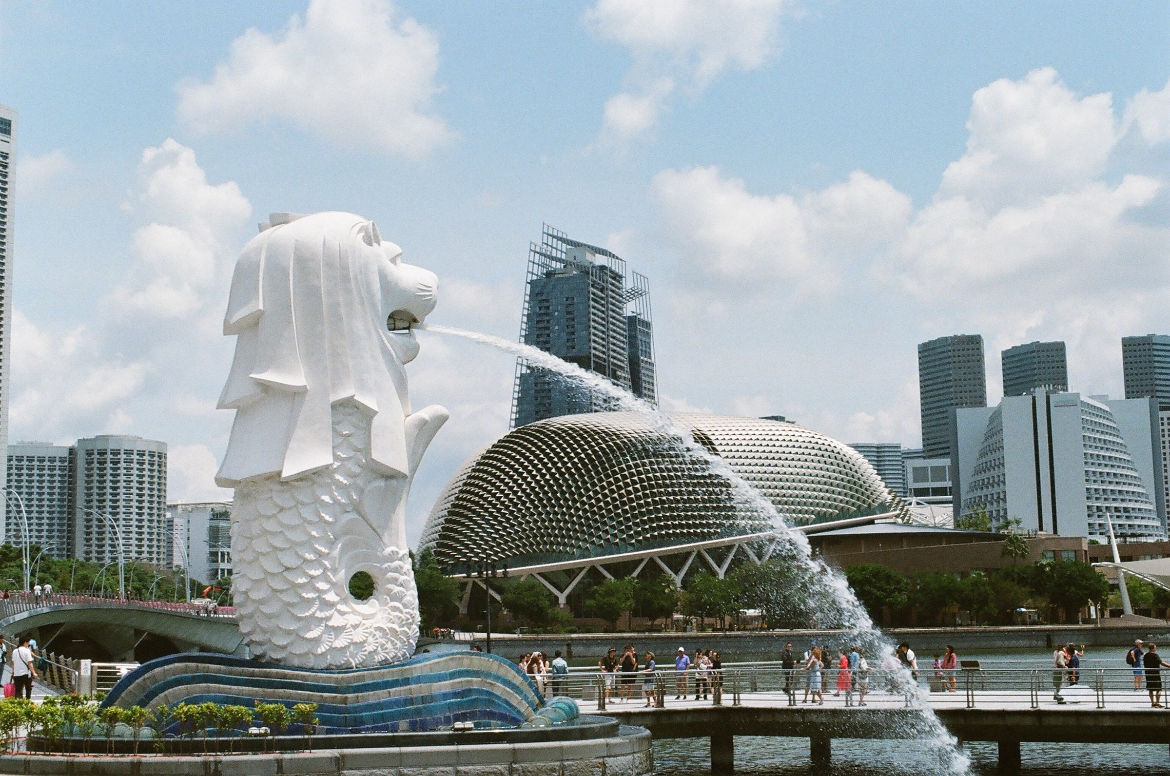 Large lion water fountain with city in the background in Singapore