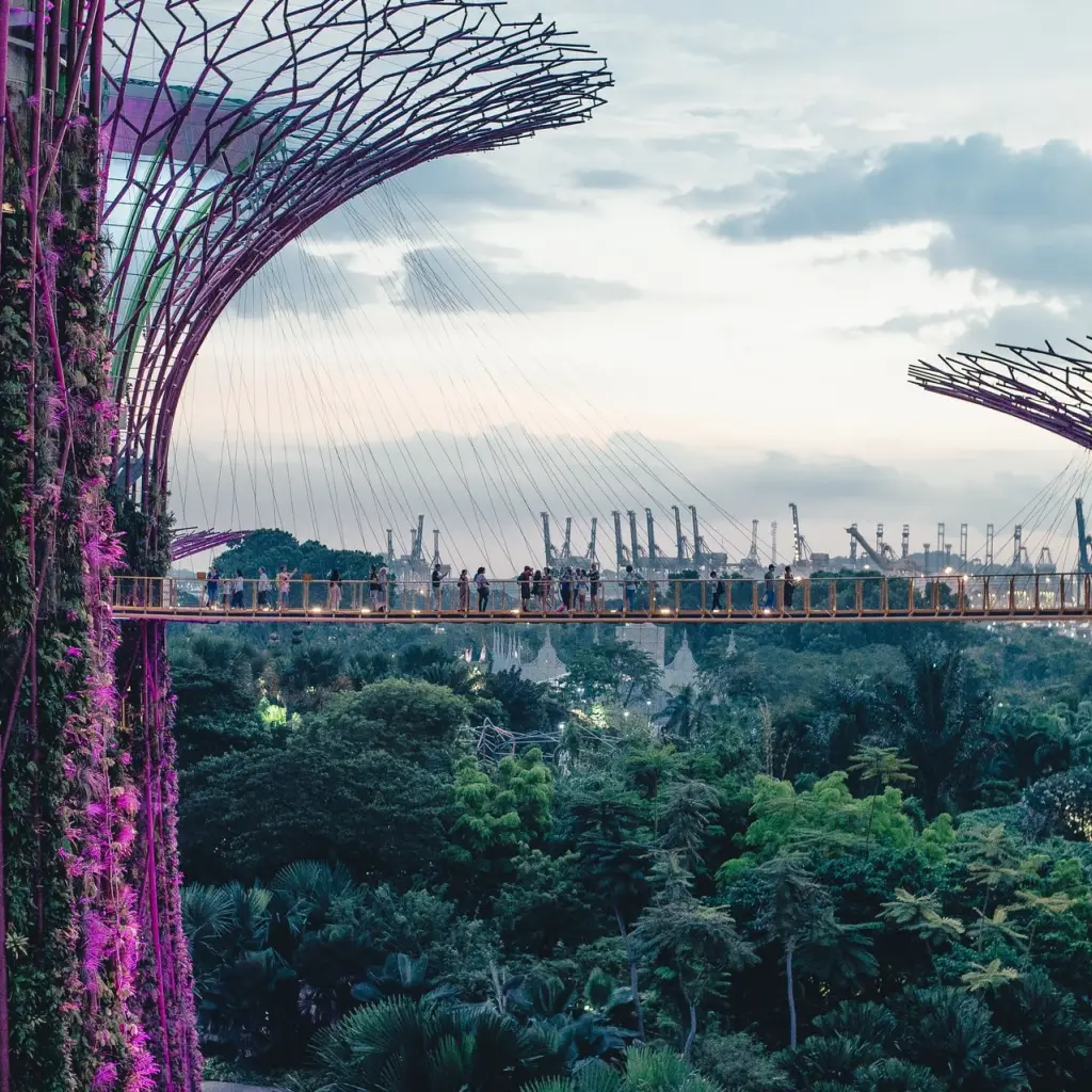 Singapur tussenstop Gardens by the Bay Skywalk