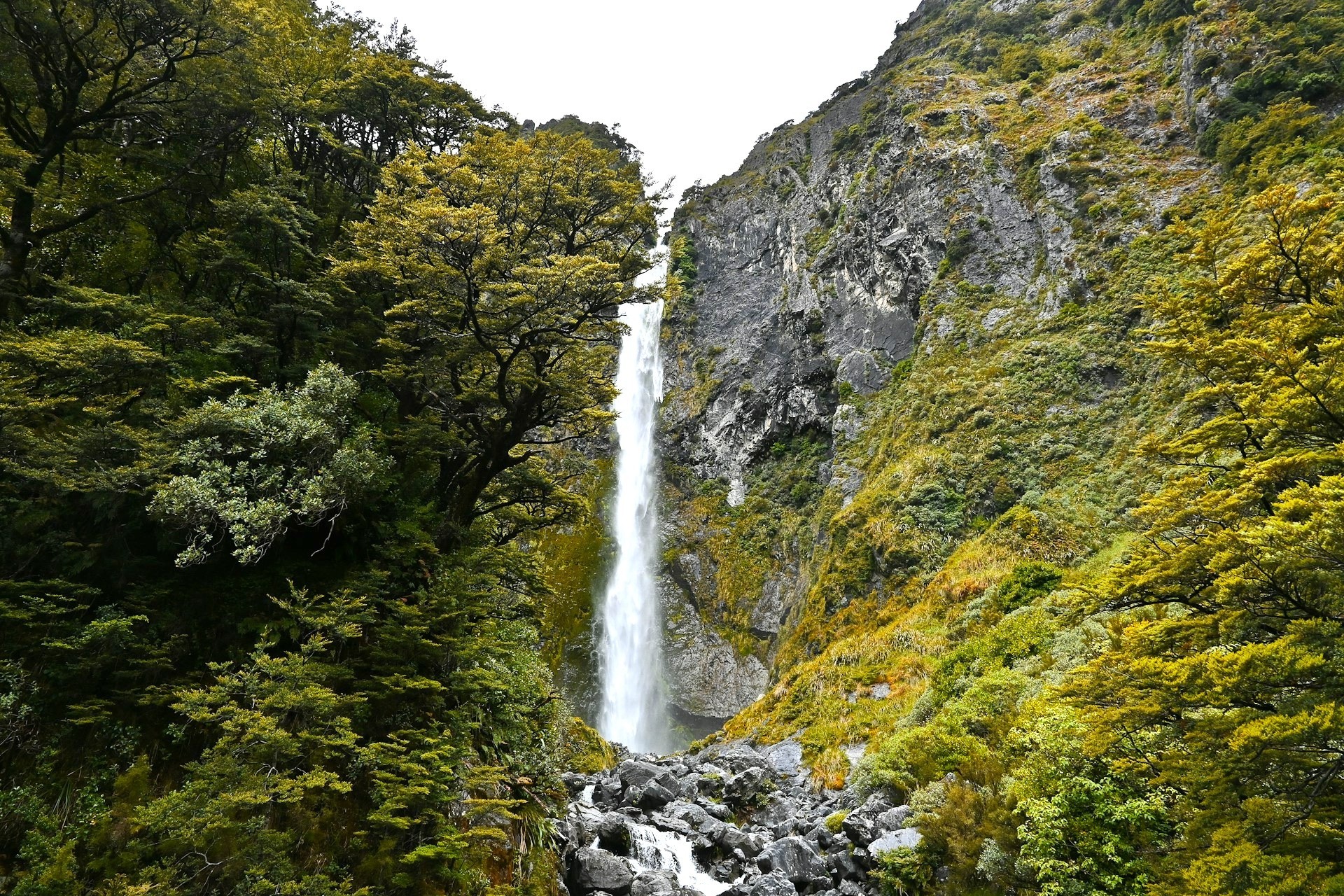 Schmaler Wasserfall umgeben von Bäumen und Moos im Arthurs Pass nationalpark